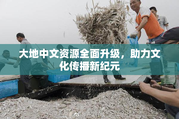 大地中文资源全面升级，助力文化传播新纪元