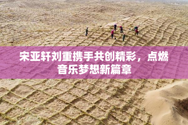 宋亚轩刘重携手共创精彩，点燃音乐梦想新篇章