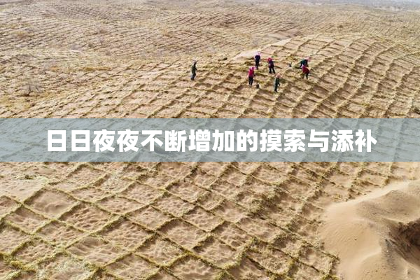 日日夜夜不断增加的摸索与添补