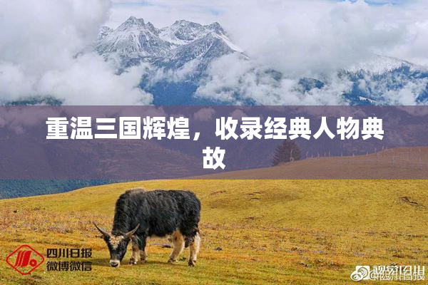 重温三国辉煌，收录经典人物典故