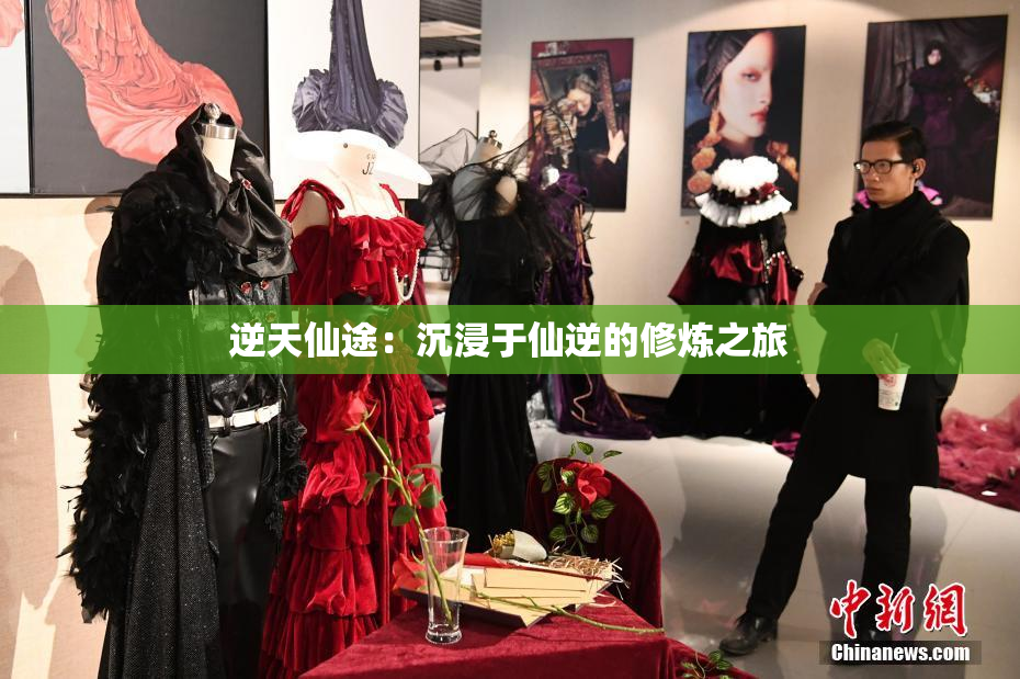 逆天仙途：沉浸于仙逆的修炼之旅