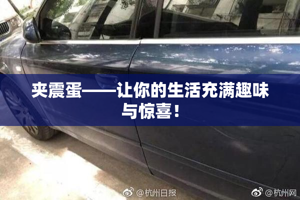 夹震蛋——让你的生活充满趣味与惊喜！