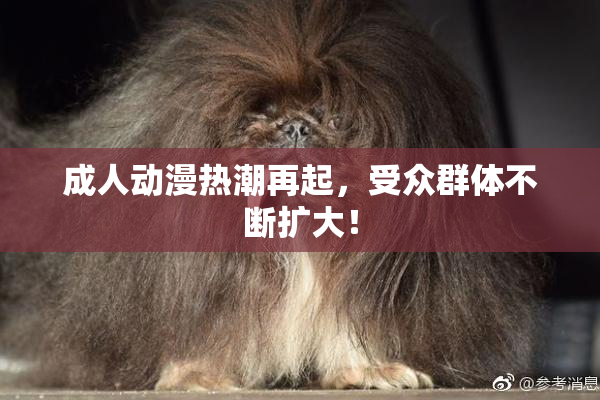 成人动漫热潮再起，受众群体不断扩大！