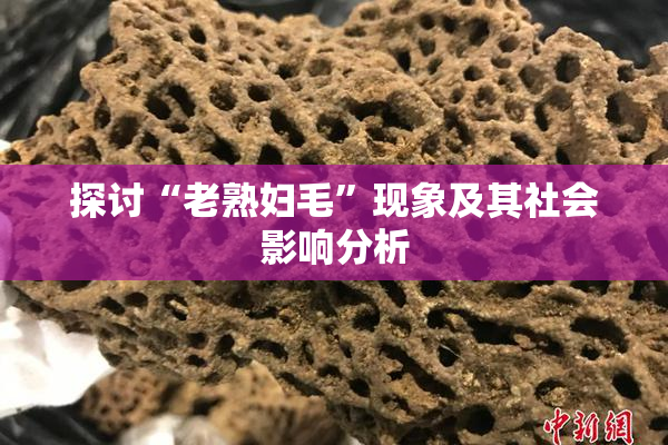 探讨“老熟妇毛”现象及其社会影响分析