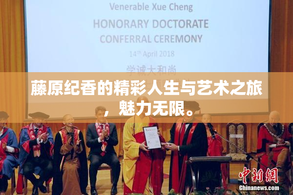 藤原纪香的精彩人生与艺术之旅，魅力无限。