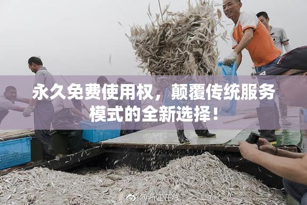 永久免费使用权，颠覆传统服务模式的全新选择！