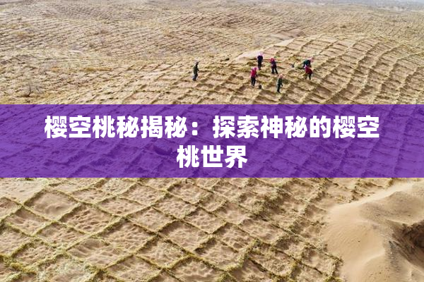 樱空桃秘揭秘：探索神秘的樱空桃世界