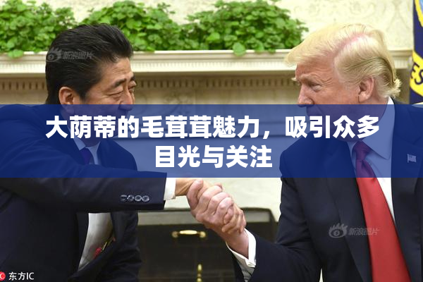 大荫蒂的毛茸茸魅力，吸引众多目光与关注