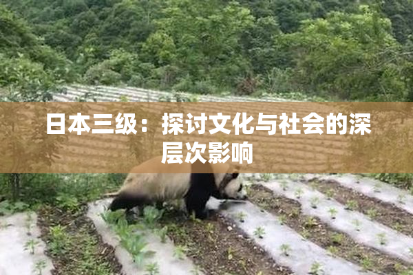 日本三级：探讨文化与社会的深层次影响