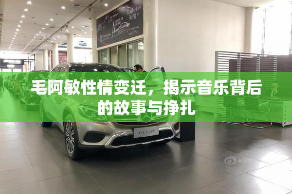 毛阿敏性情变迁，揭示音乐背后的故事与挣扎