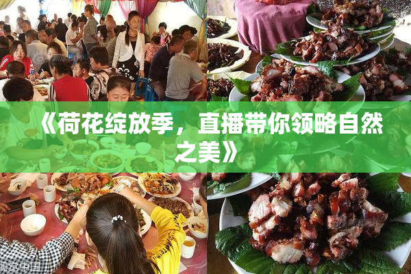 《荷花绽放季，直播带你领略自然之美》
