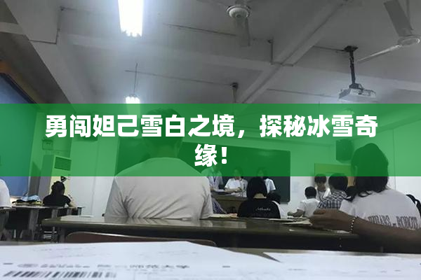 勇闯妲己雪白之境，探秘冰雪奇缘！