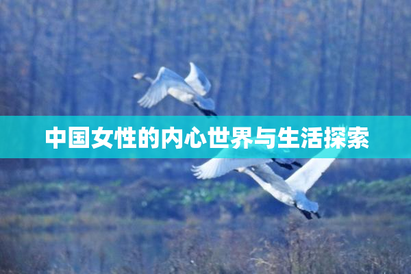 中国女性的内心世界与生活探索
