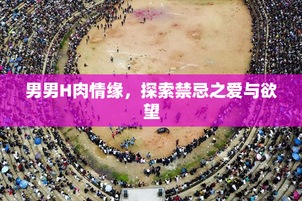 男男H肉情缘，探索禁忌之爱与欲望