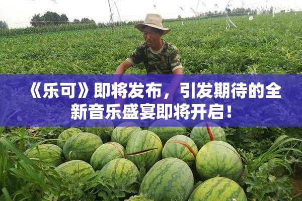 《乐可》即将发布，引发期待的全新音乐盛宴即将开启！