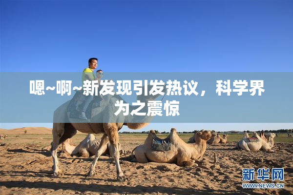 嗯~啊~新发现引发热议，科学界为之震惊