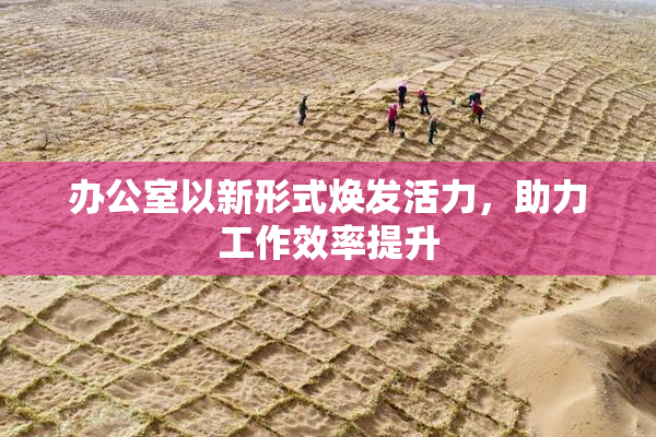 办公室以新形式焕发活力，助力工作效率提升