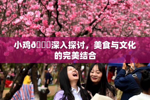小鸡🐔深入探讨，美食与文化的完美结合