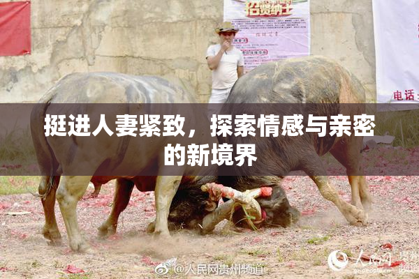 挺进人妻紧致，探索情感与亲密的新境界