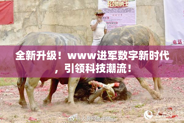 全新升级！www进军数字新时代，引领科技潮流！