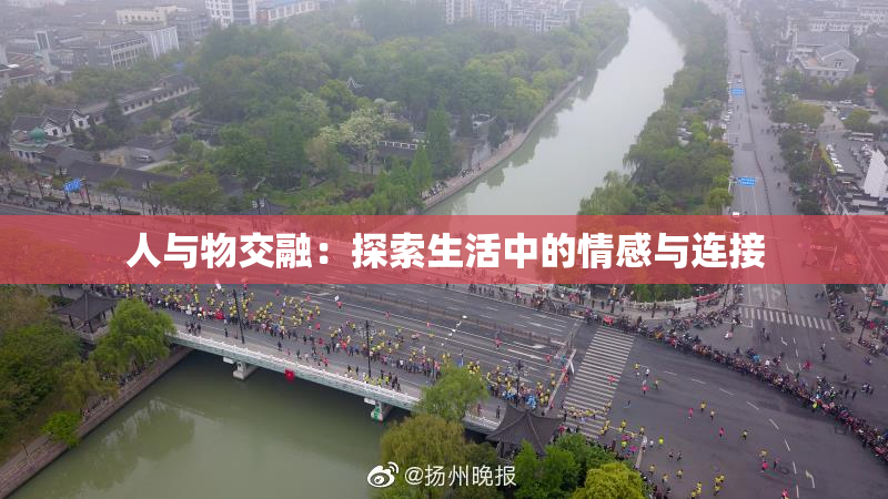 人与物交融：探索生活中的情感与连接