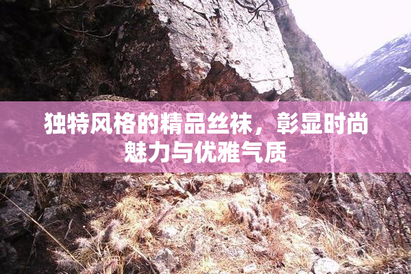 独特风格的精品丝袜，彰显时尚魅力与优雅气质