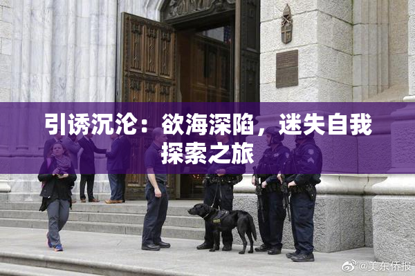 引诱沉沦：欲海深陷，迷失自我探索之旅