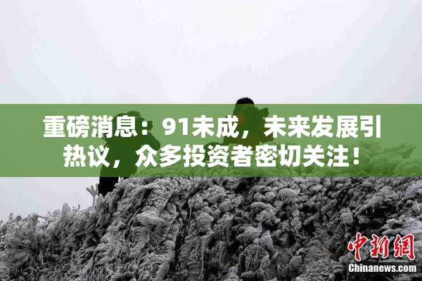 重磅消息：91未成，未来发展引热议，众多投资者密切关注！
