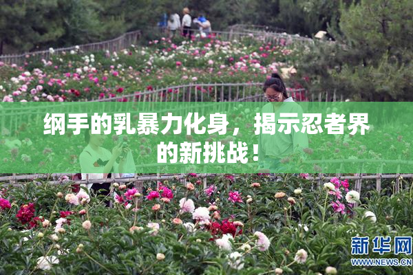 纲手的乳暴力化身，揭示忍者界的新挑战！