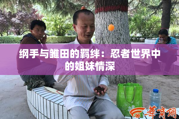 纲手与雏田的羁绊：忍者世界中的姐妹情深