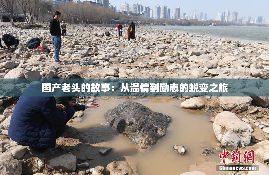国产老头的故事：从温情到励志的蜕变之旅
