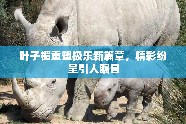 叶子楣重塑极乐新篇章，精彩纷呈引人瞩目
