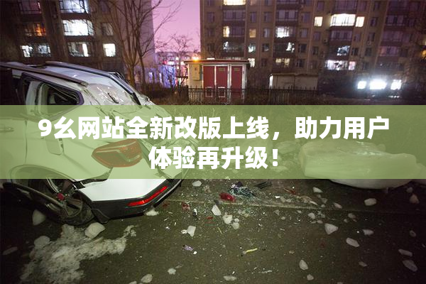 9幺网站全新改版上线，助力用户体验再升级！