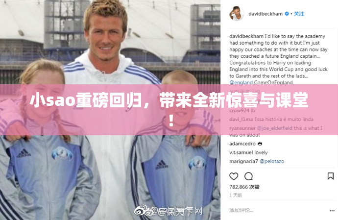 小sao重磅回归，带来全新惊喜与课堂！
