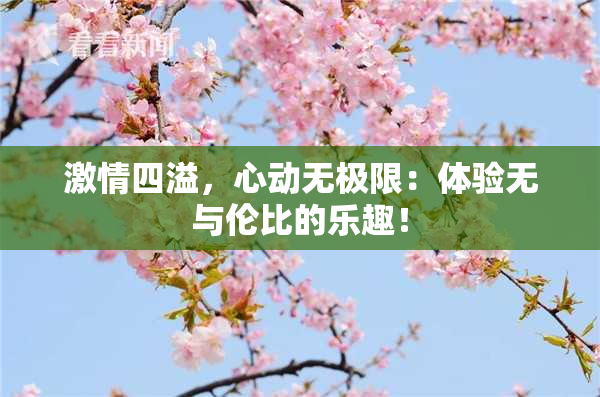 激情四溢，心动无极限：体验无与伦比的乐趣！