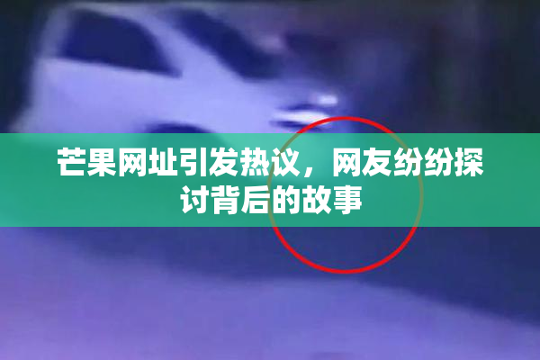 芒果网址引发热议，网友纷纷探讨背后的故事