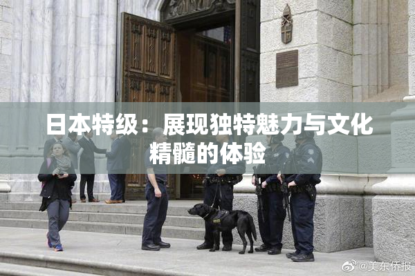 日本特级：展现独特魅力与文化精髓的体验