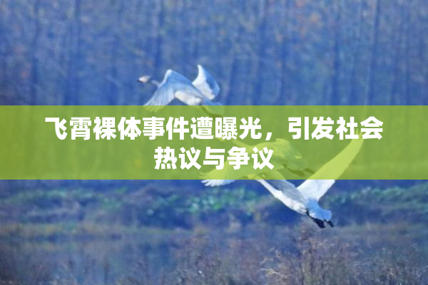 飞霄裸体事件遭曝光，引发社会热议与争议