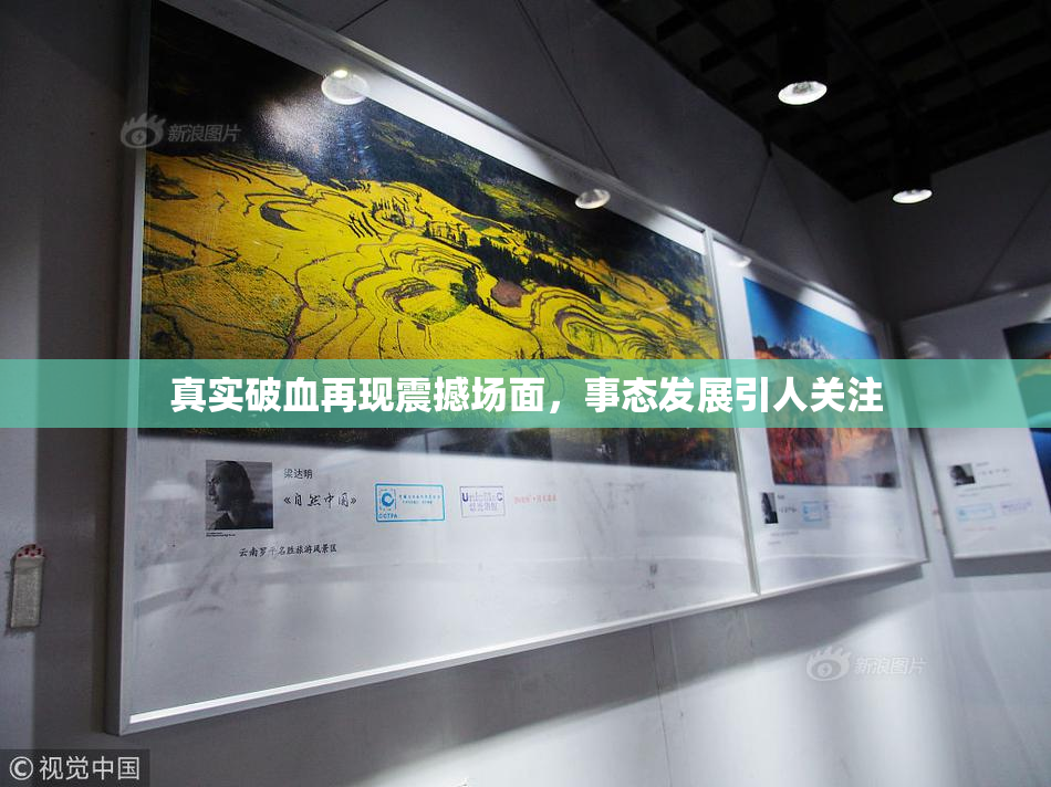 真实破血再现震撼场面，事态发展引人关注