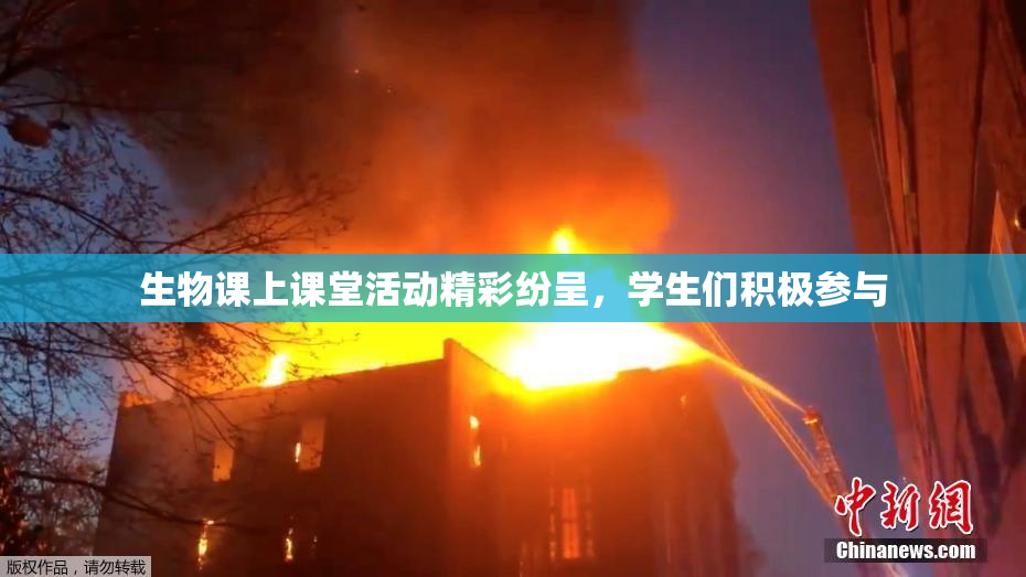 生物课上课堂活动精彩纷呈，学生们积极参与