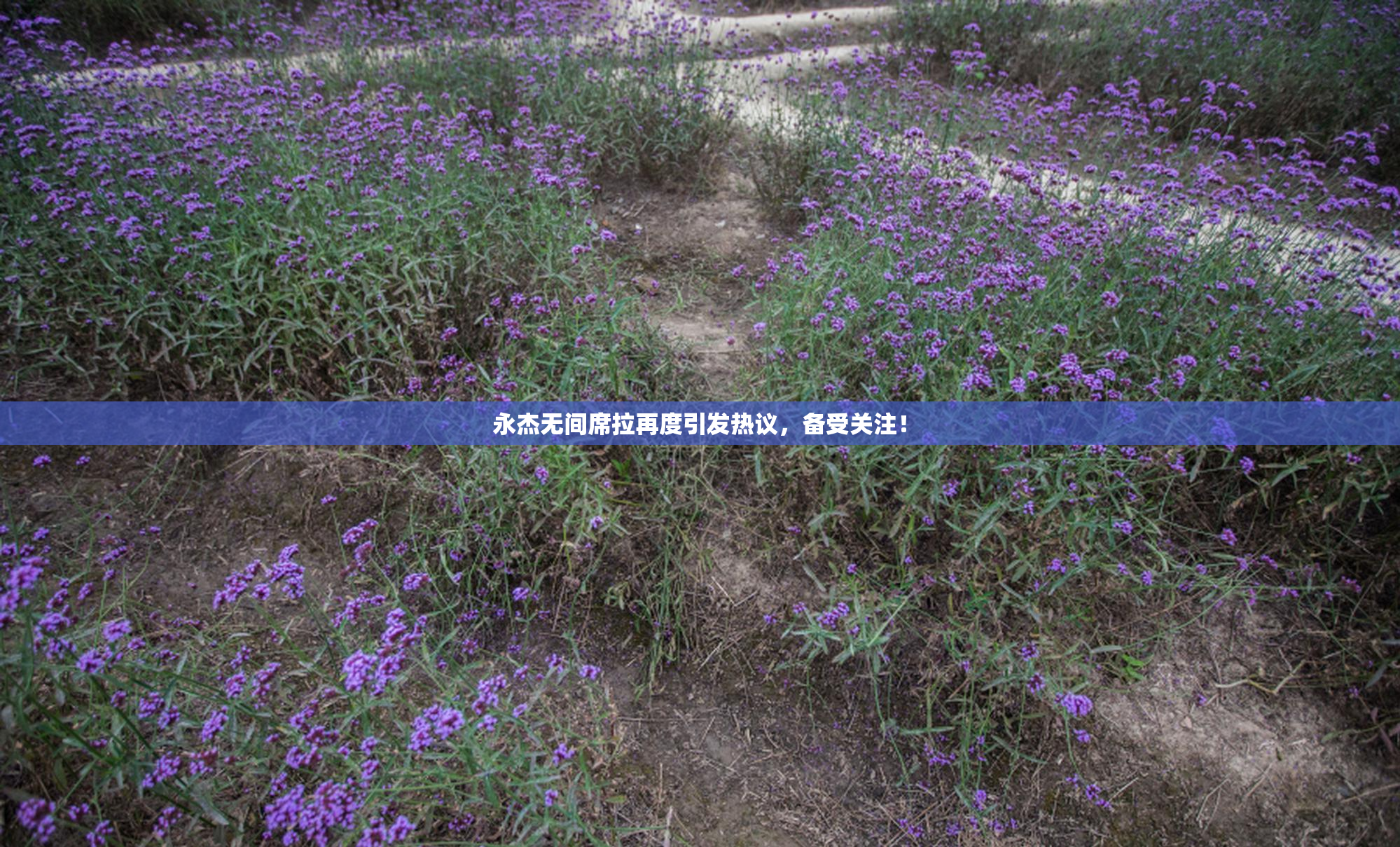永杰无间席拉再度引发热议，备受关注！