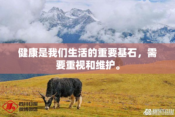 健康是我们生活的重要基石，需要重视和维护。
