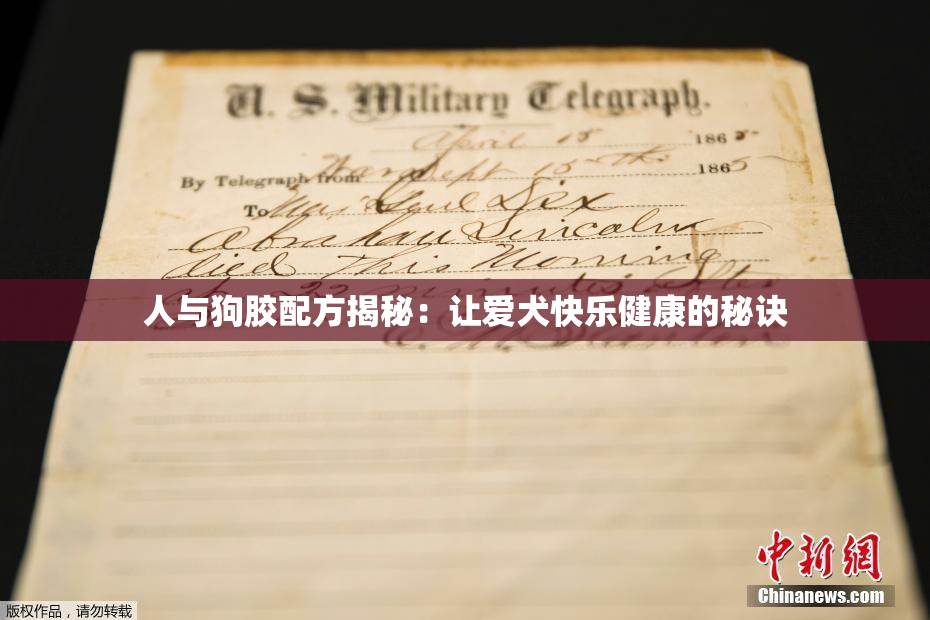 人与狗胶配方揭秘：让爱犬快乐健康的秘诀