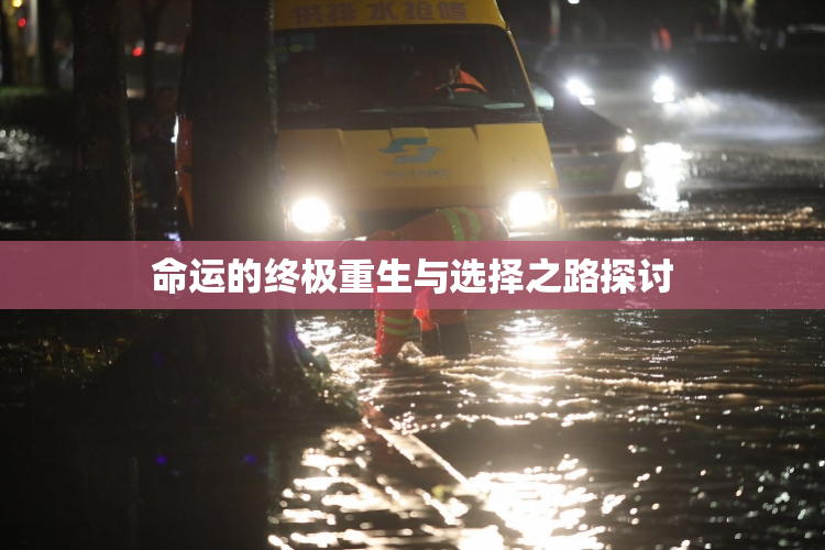 命运的终极重生与选择之路探讨
