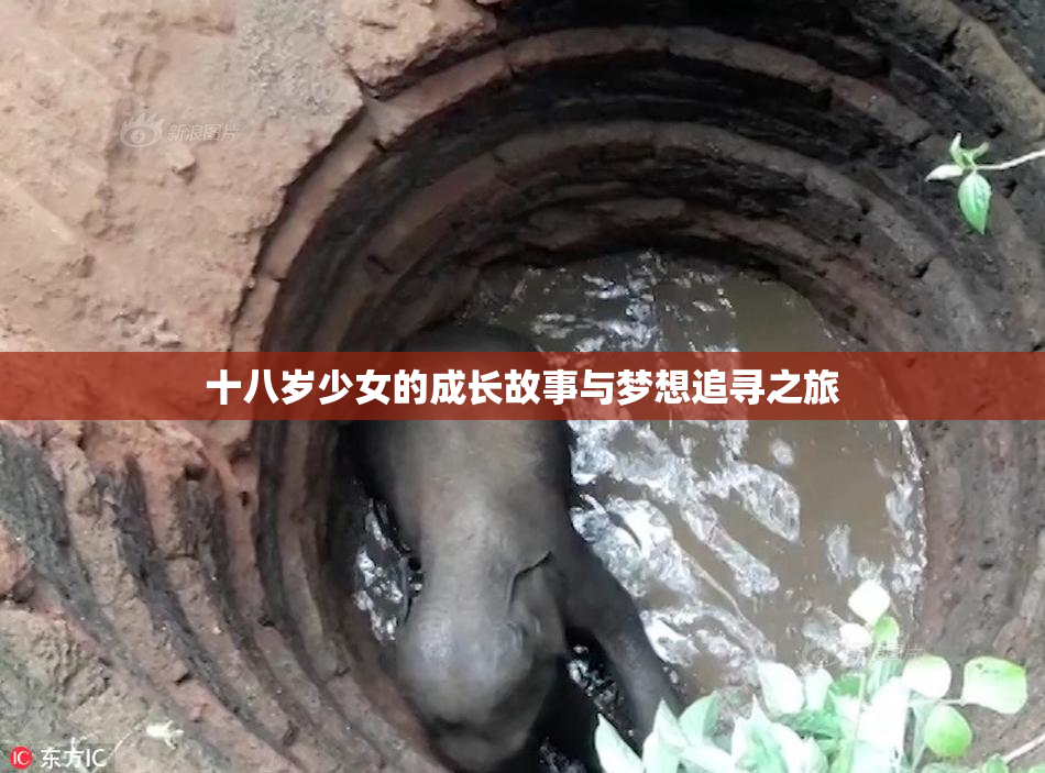 十八岁少女的成长故事与梦想追寻之旅