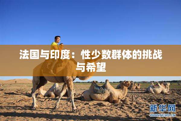 法国与印度：性少数群体的挑战与希望