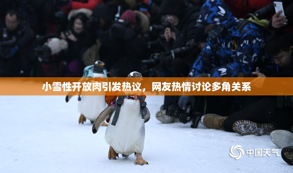 小雪性开放肉引发热议，网友热情讨论多角关系