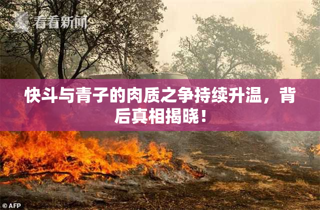 快斗与青子的肉质之争持续升温，背后真相揭晓！