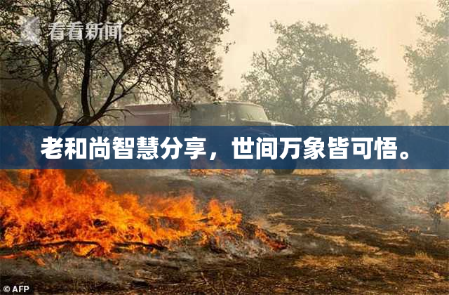 老和尚智慧分享，世间万象皆可悟。