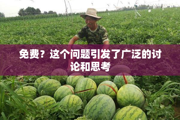 免费？这个问题引发了广泛的讨论和思考